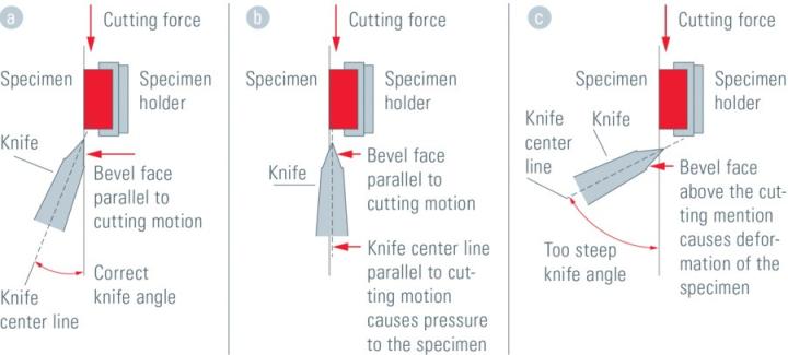 csm_Knife-angle-in-microtomy_Fig1_5026adc65e