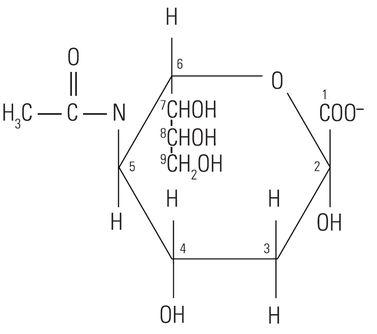 Figure 2: Structure of N-acetylneuraminic acid, a common sialic acid in humans.