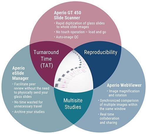 Path Venn Diagram