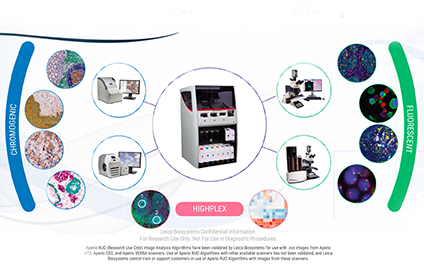 tips-tricks-to-multiplexing-top-5-reasons-to-multiplex-and-chromogenic-versus-thumb